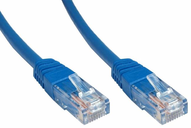 50-centimetre cat 5 cable in blue